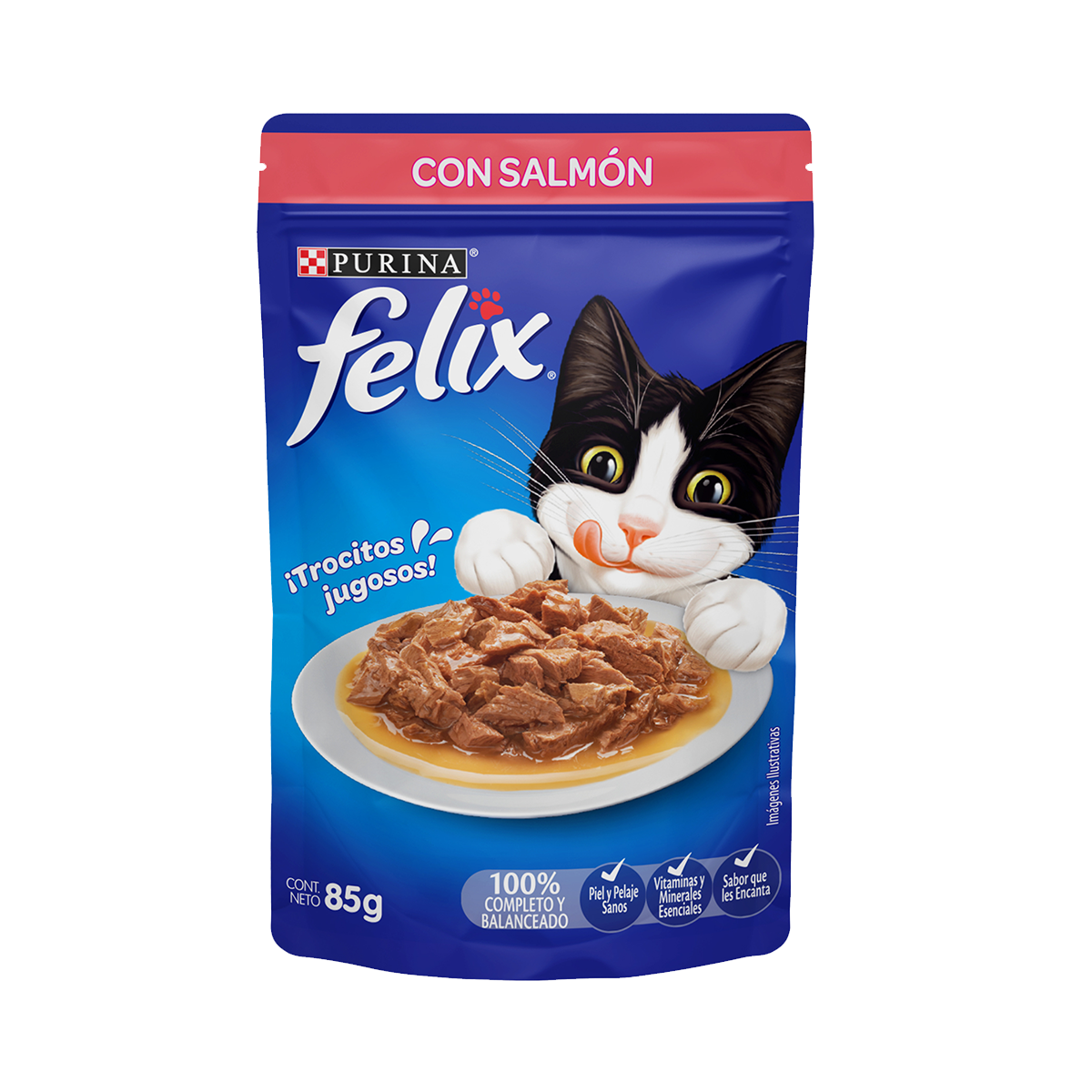 Cat Chow® gatitos hasta 12 meses | Purina Panamá