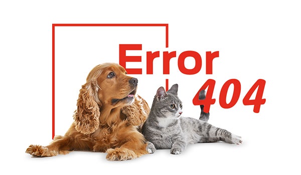 Purina 404