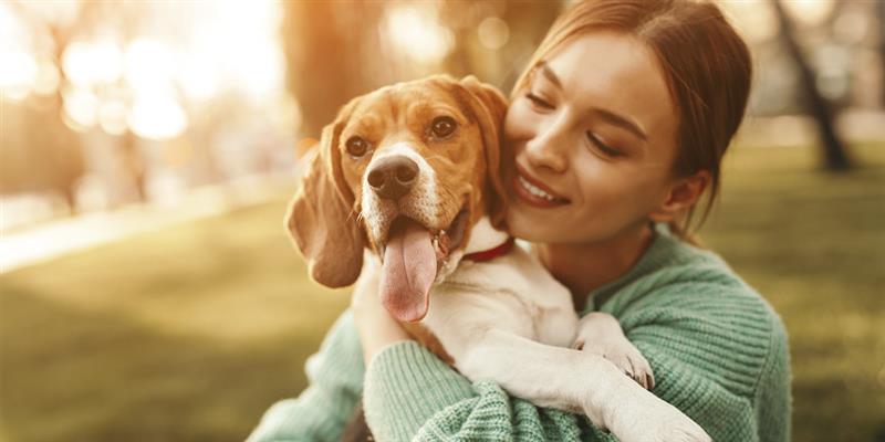 Los perros van al cielo. Tutora abrazando a su beagle. 
