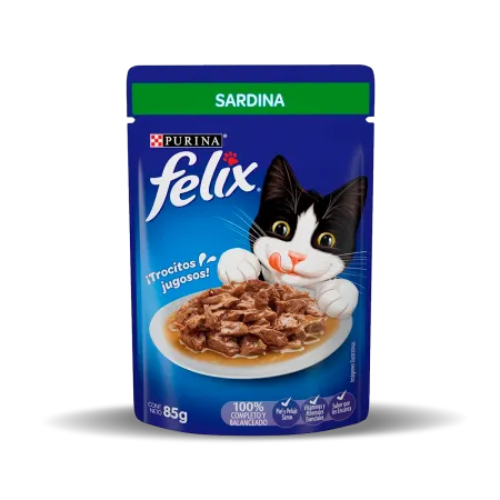 sardina_felix_0.png.webp?itok=DfivruII