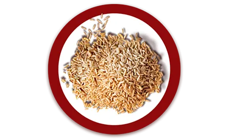 01_Purina_ONE_ICONOS_Arroz.png.webp?itok=yfsGn14H