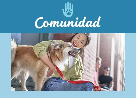 purina-img-community.jpg.webp?itok=0GLzK1ax