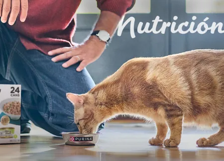 purina-img-cuidados-nutricion.jpg.webp?itok=EYKsvL4R