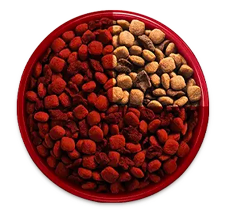 purina-one-transicion-alimento-bowl-1.png.webp?itok=PkHo8fir