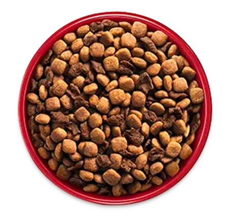 purina-one-transicion-alimento-bowl-4.png.webp?itok=_S8UNekH