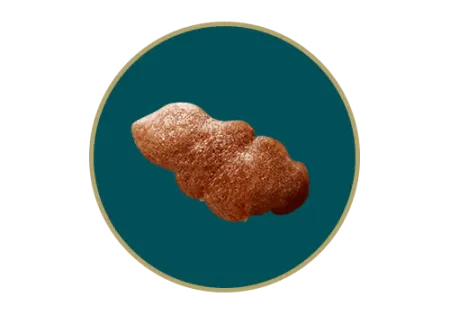 DT_Seleccion_Nuggets.png.webp?itok=CDG91IF7