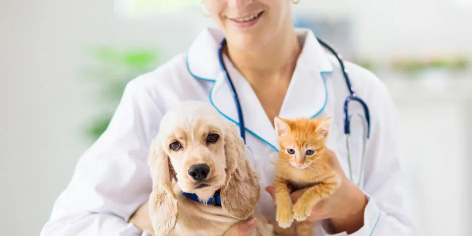 purina-consulta-veterinaria-para-mascotas-lo-que-debes-saber.jpg