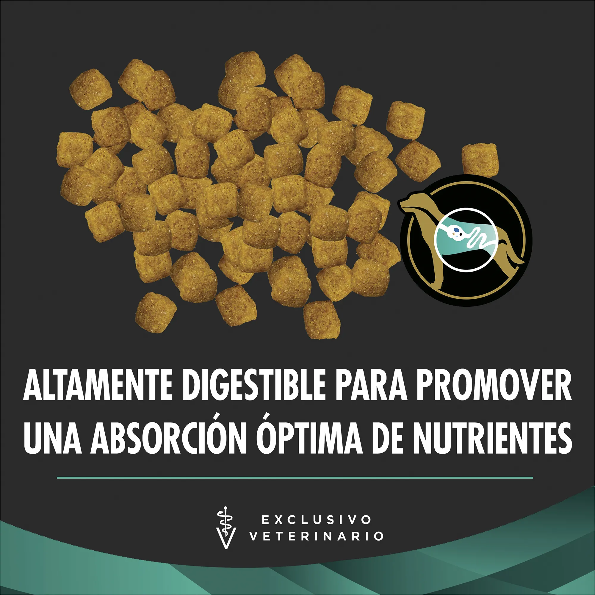 Alimento para perro Veterinary Diets Gastroenteric | Purina Panama
